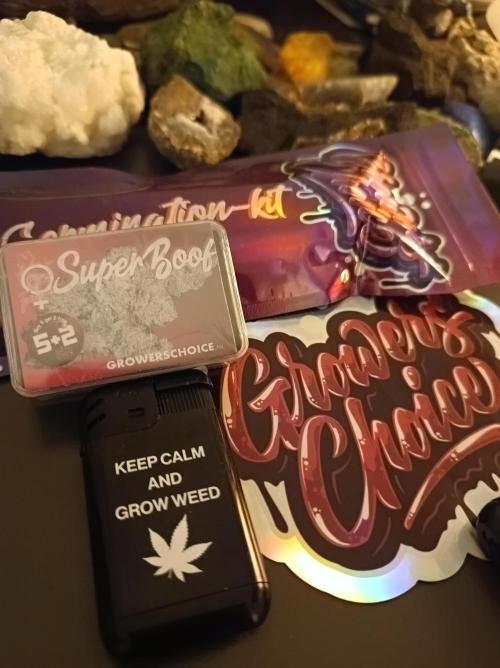 Super Boof 🍒🍪GC. Week 0