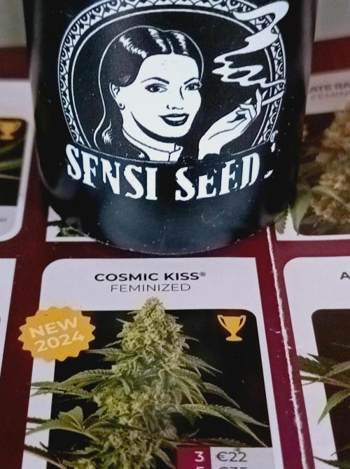 Cosmic Kiss ⭐💋. Week 0
