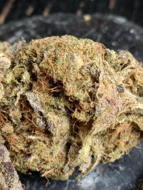 NL x Runtz🌌. Week 16