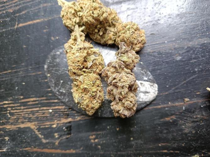 NL x Runtz🌌. Week 16