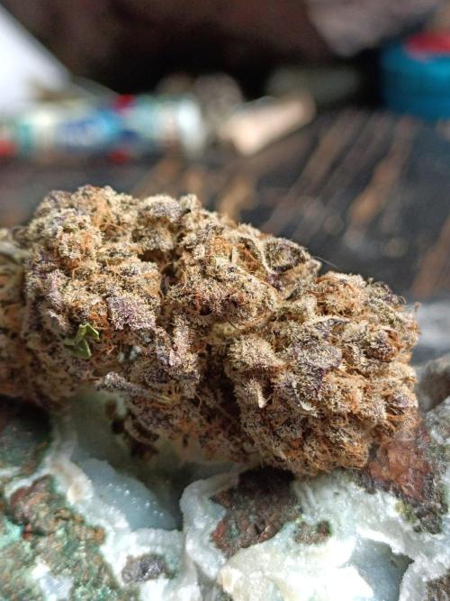 NL x Runtz🌌. Week 16
