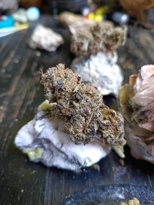 NL x Runtz🌌. Week 16