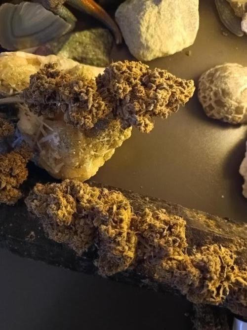 Pink Glitterbomb💣. Week 19