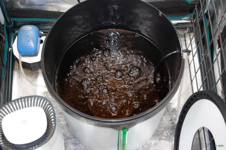 Gorilla Cookies FF 1. Week 2 - 17-7