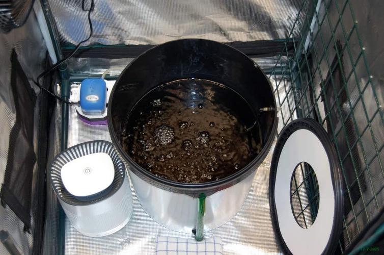 Gorilla Cookies FF 1. Week 2 - 17-7