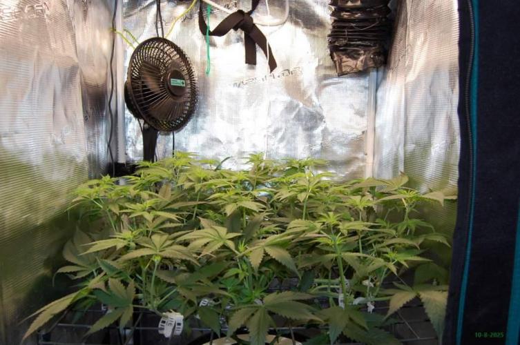 Gorilla Cookies FF 1. Week 5 - 10-8