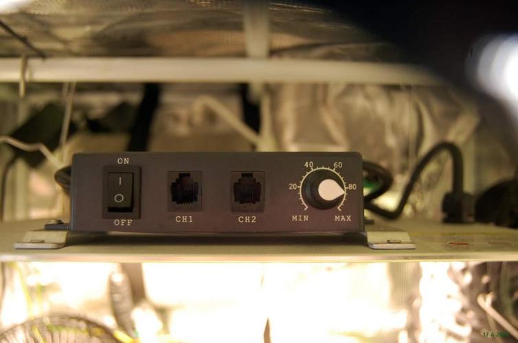 Gorilla Cookies FF 1. Week 6 - 17-8