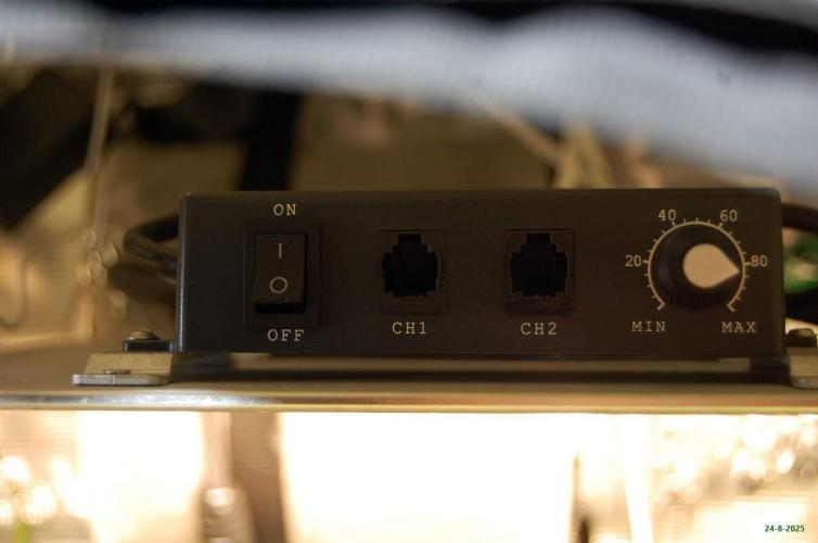 Gorilla Cookies FF 1. Week 7 - 24-8