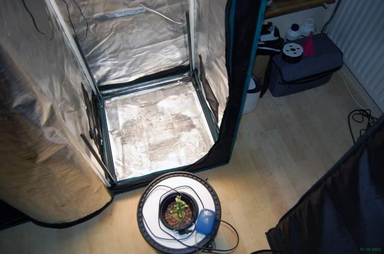 Gorilla Cookies FF 1. Week 14 - 11-10