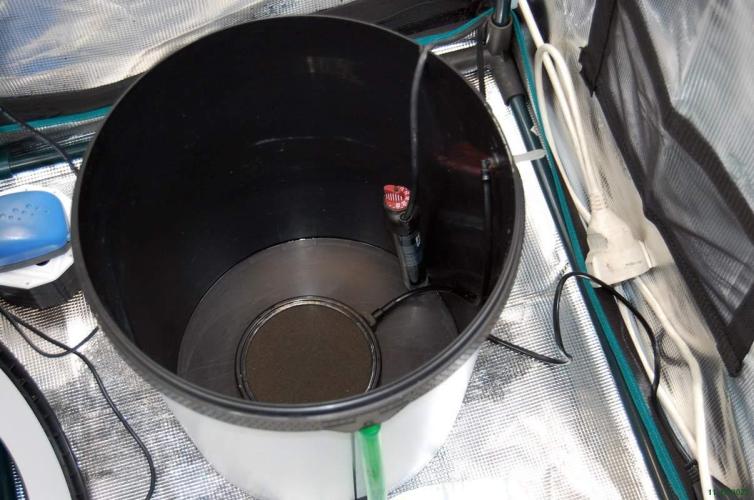 Gorilla Cookies FF 1. Week 14 - 11-10