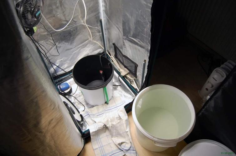 Gorilla Cookies FF 1. Week 14 - 11-10