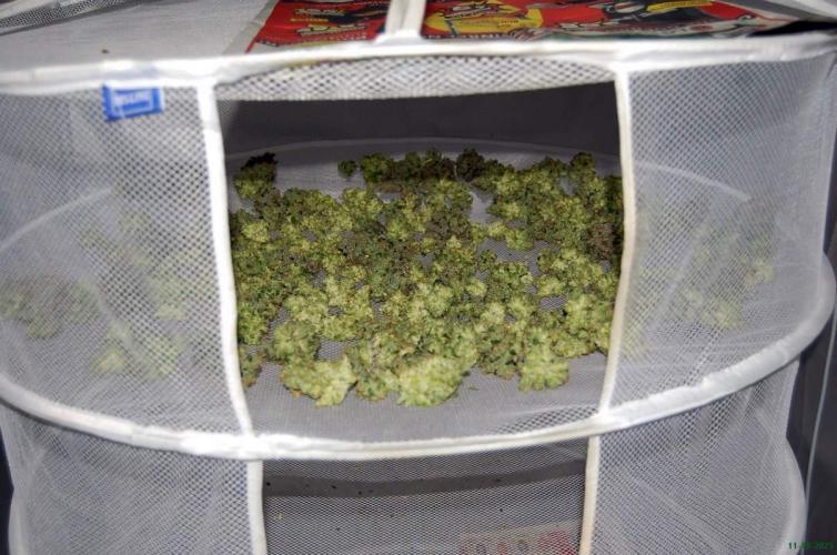 Gorilla Cookies FF 1. Week 14 - 11-10