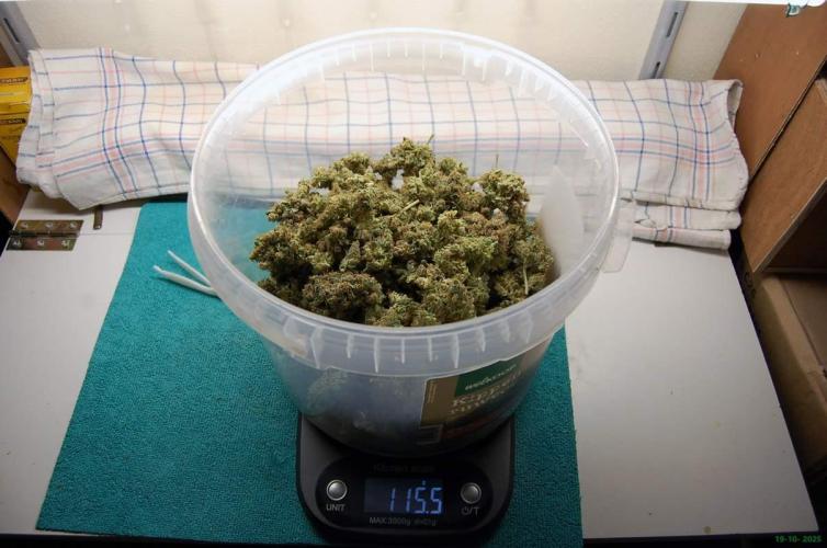 Gorilla Cookies FF 1. Week 14 - 19-10