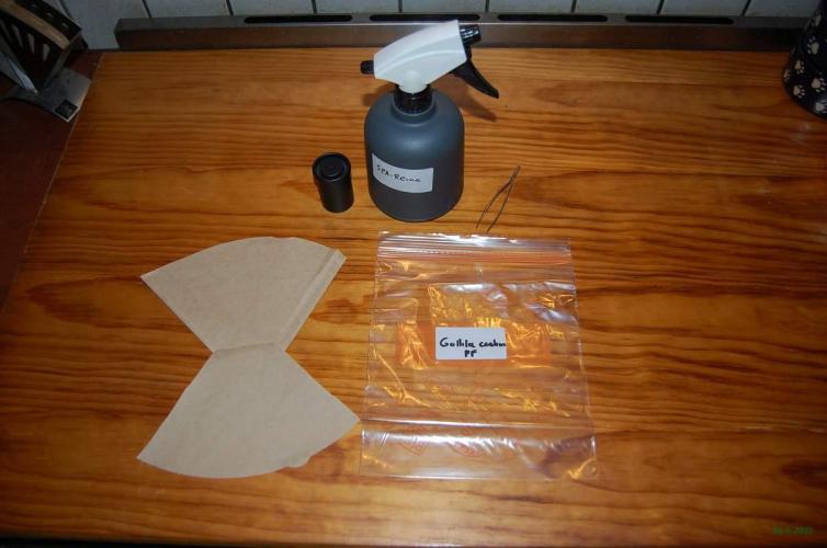 Gorilla Cookies  FF 2. Week 0 - 26-6