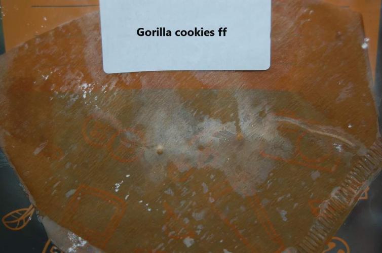 Gorilla Cookies  FF 2. Week 0 - 26-6