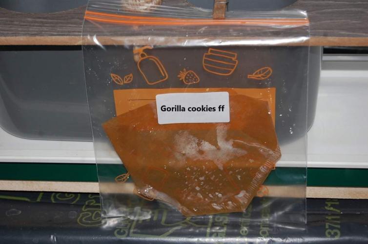 Gorilla Cookies  FF 2. Week 0 - 26-6