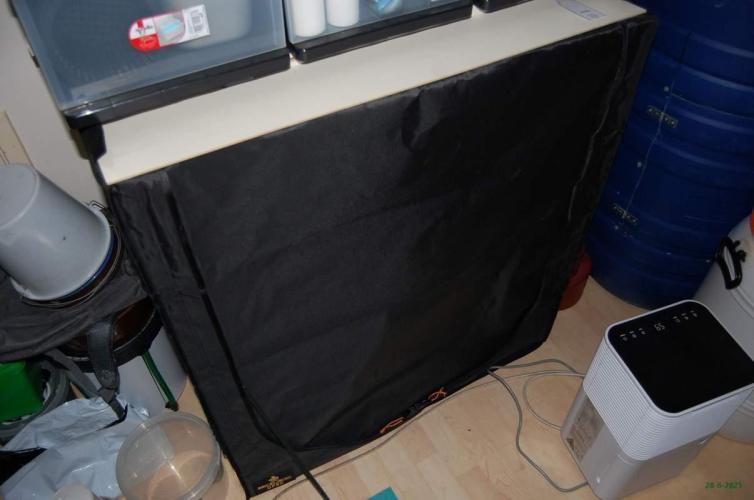 Gorilla Cookies  FF 2. Week 0 - 28-6