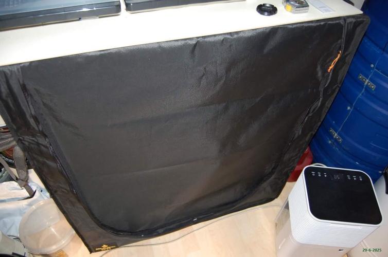 Gorilla Cookies  FF 2. Week 0 - 29-6