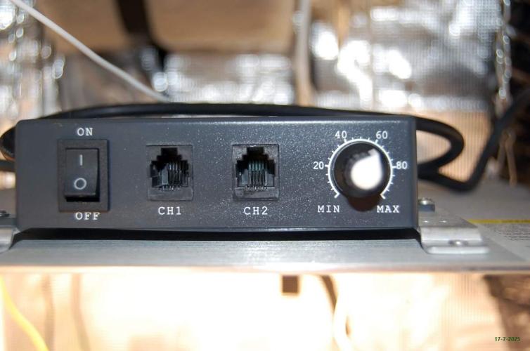 Gorilla Cookies  FF 2. Week 2 - 17-7  tent 2