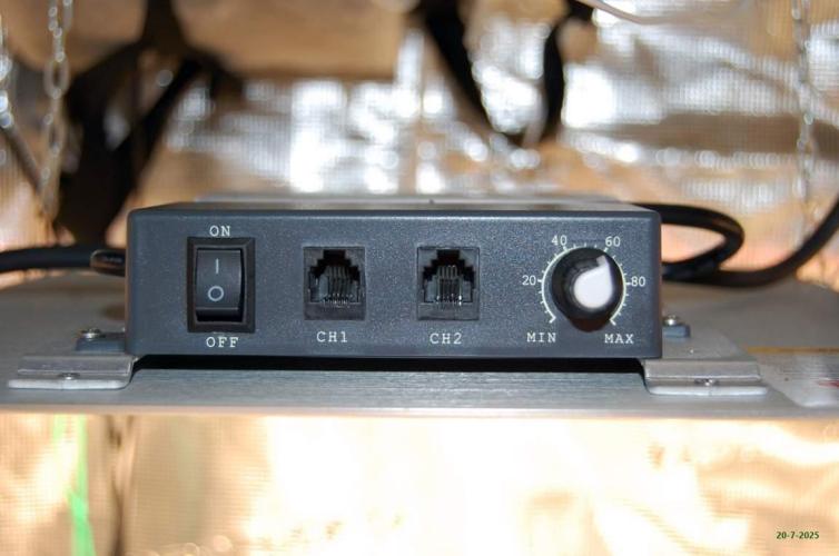 Gorilla Cookies  FF 2. Week 2 - 20-7