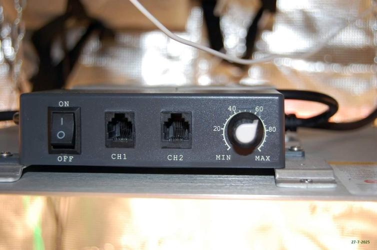 Gorilla Cookies  FF 2. Week 3 - 27-7