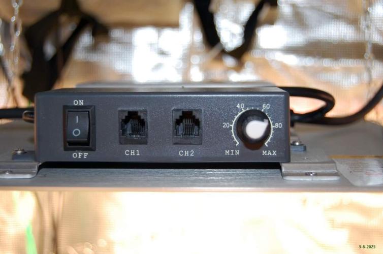 Gorilla Cookies  FF 2. Week 4 - 3-8