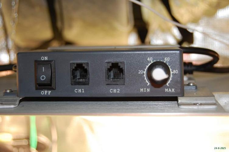 Gorilla Cookies  FF 2. Week 7 - 24-8