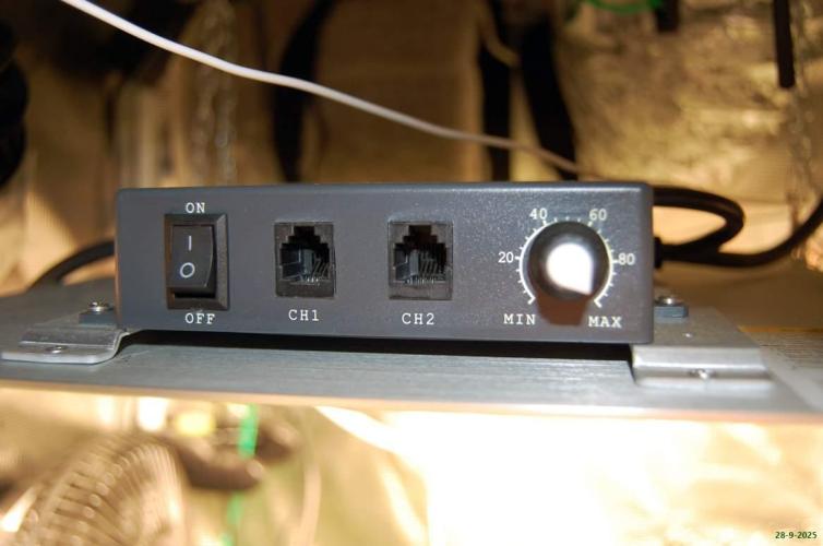 Gorilla Cookies  FF 2. Week 12 - 28-9