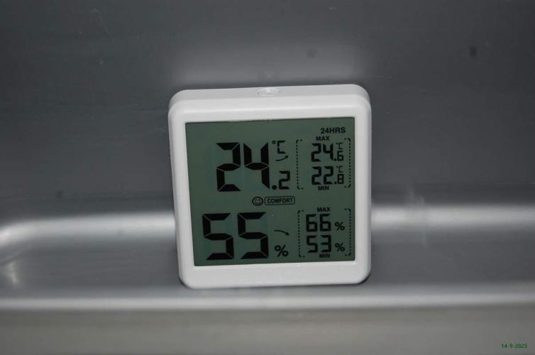 Super Silver Haze 4. Week 0 - 14-9-2025