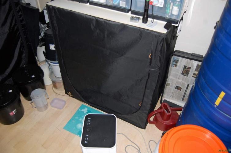 Super Silver Haze 4. Week 1 - 28-9