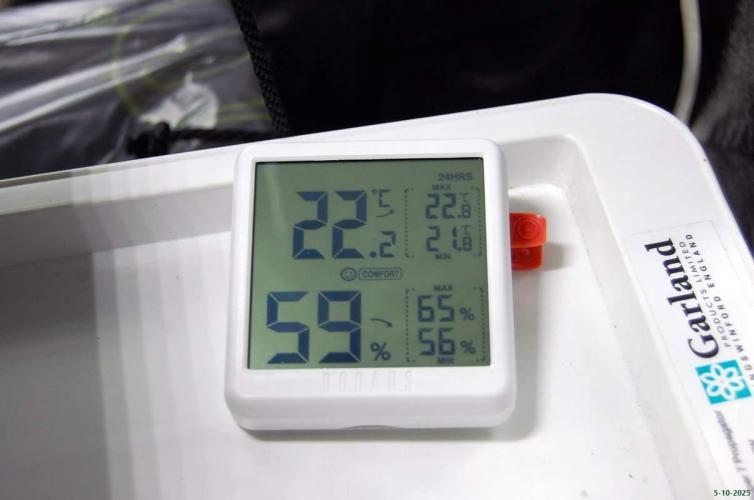 Super Silver Haze 4. Week 2 - 5-10