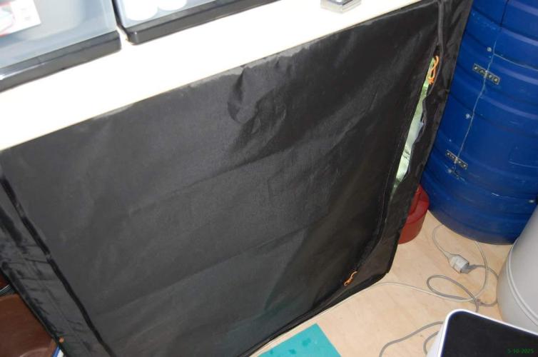 Super Silver Haze 4. Week 2 - 5-10