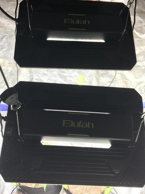 Elufah UAP photo 3rd place LED recipient. Week 3