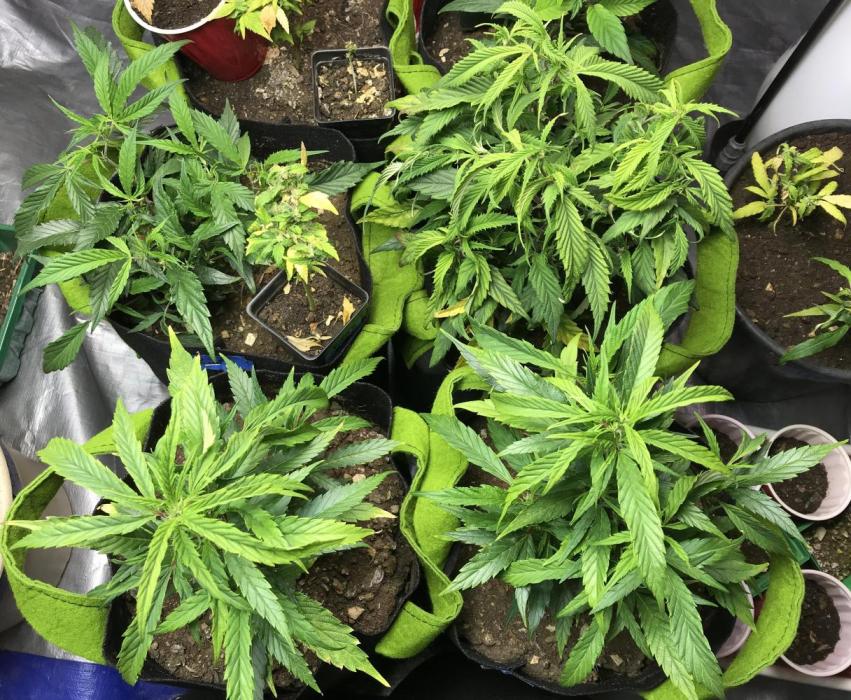 Elufah UAP photo 3rd place LED recipient. Week 7