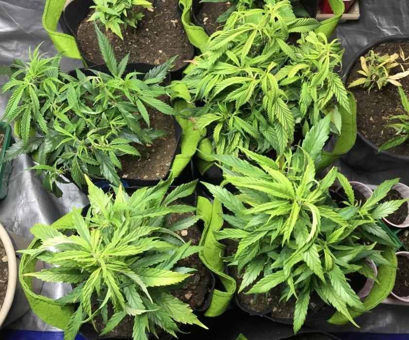 Elufah UAP photo 3rd place LED recipient. Week 8