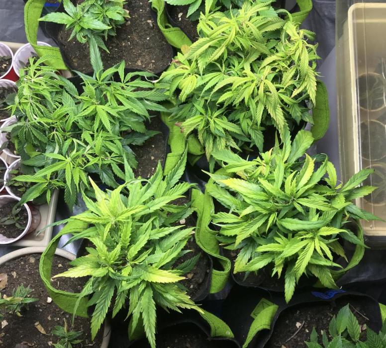 Elufah UAP photo 3rd place LED recipient. Week 9