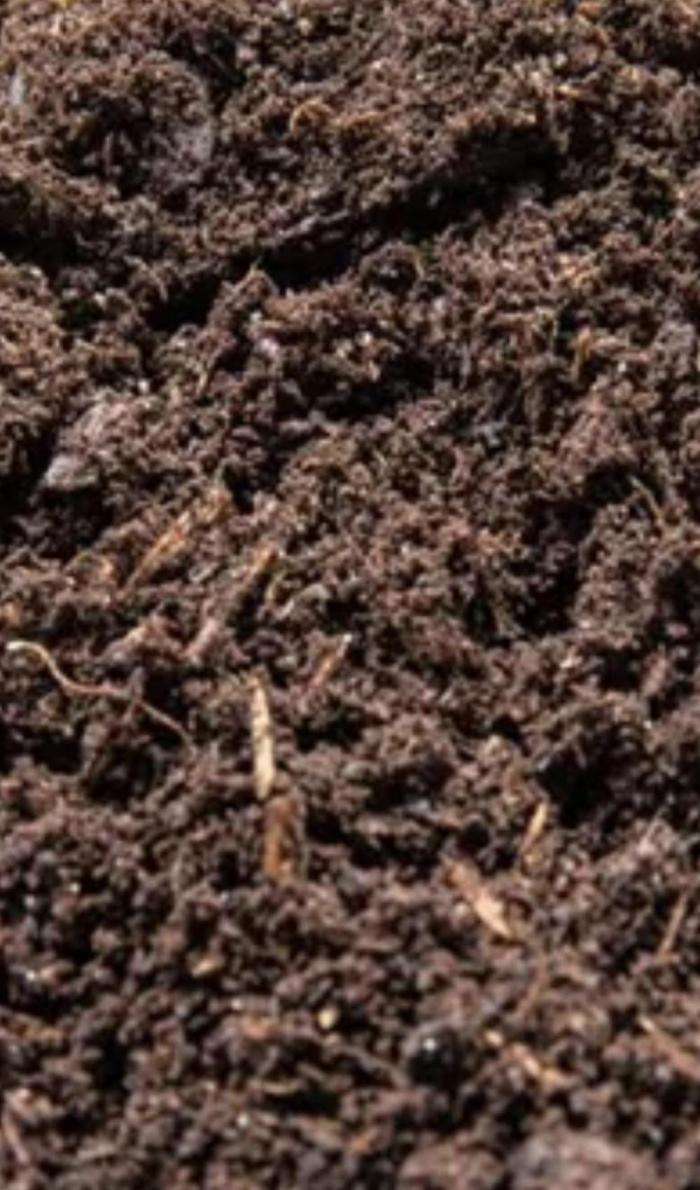 Auto Runde zwei. Week 0