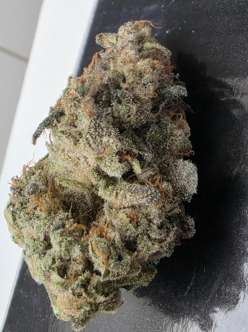 Chaos Grow die zweite. Week 16