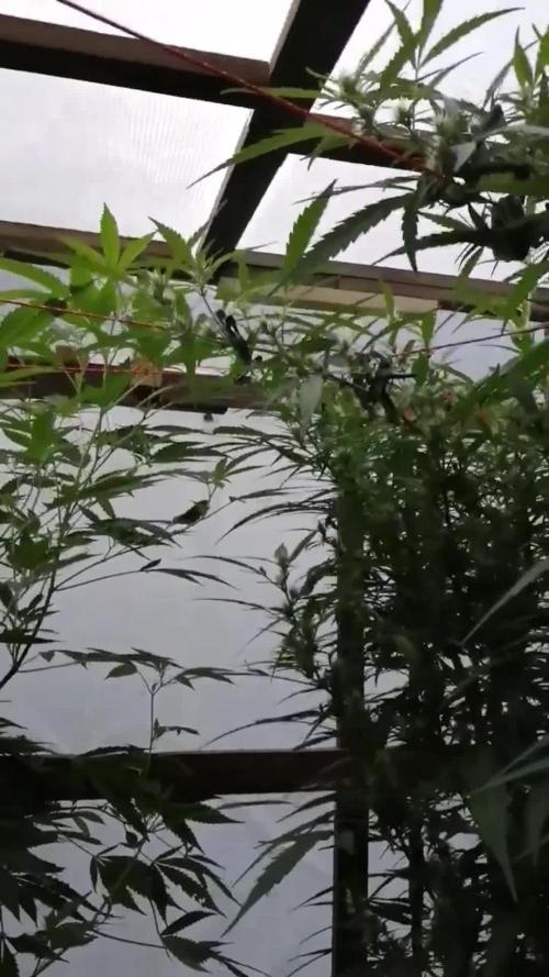 Membrana Hiper Auto Outdoor!!!