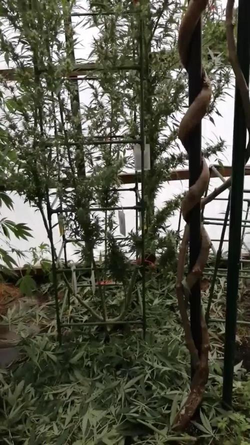 Membrana Hiper Auto Outdoor!!!