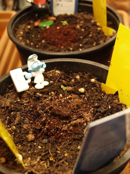 Godfearther OG F1 #3. Week 0 - Tag 3