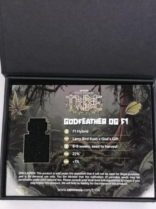 Godfearther OG F1 #3. Week 0