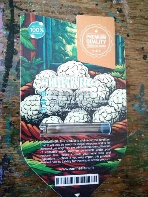 White Truffle Indoor 2025. Week 0