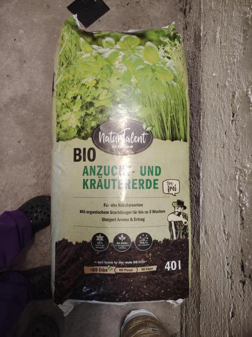 Strawberry Cola Auto Winter Grow 2026. Week 0 - Unsere Erde