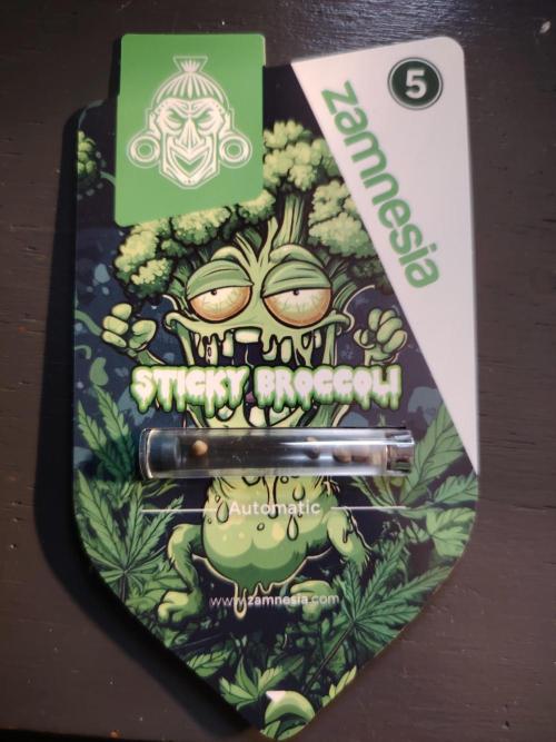 Eternity Cup 2026 Sticky Broccoli Auto. Week 0