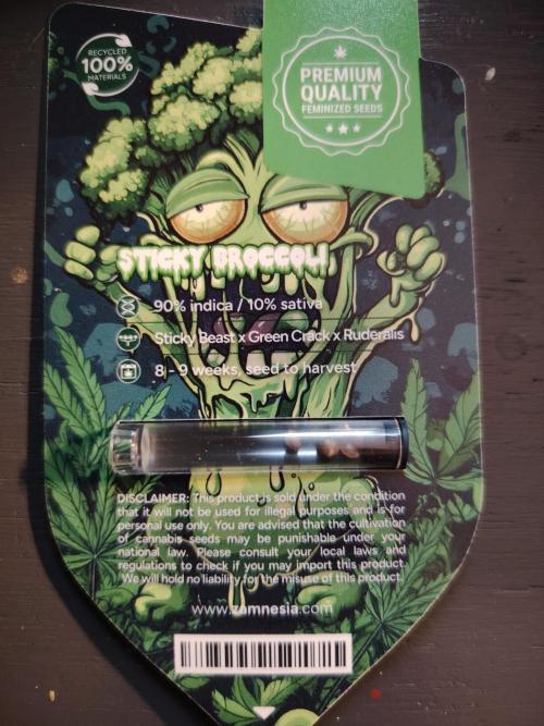 Eternity Cup 2026 Sticky Broccoli Auto. Week 0