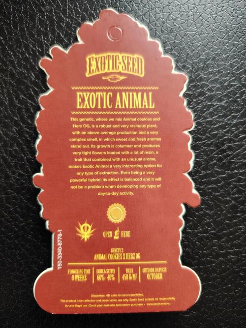Exotic Animal Photo. Week 0