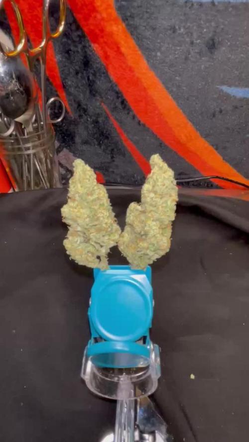 Heisenberg Special and 3wok OG