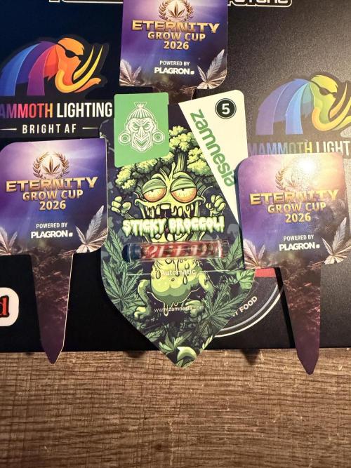 Sticky Braccoli Auto - Zamnesia Seeds. Week 0