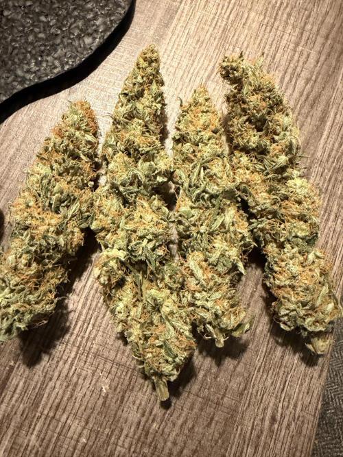 Fast Deisel from izi.farm. Week 13